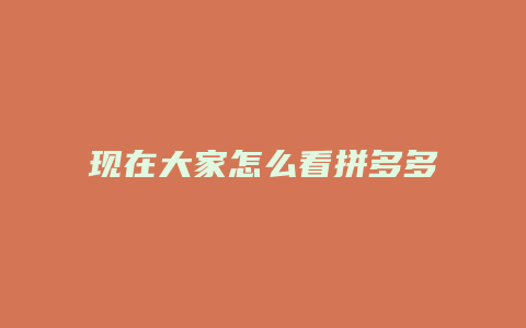 现在大家怎么看拼多多