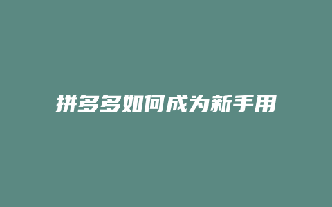 拼多多如何成为新手用户