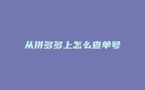 从拼多多上怎么查单号