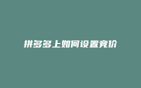 拼多多上如何设置竞价价格