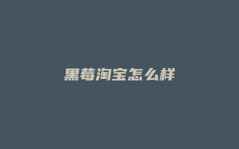 黑莓淘宝怎么样