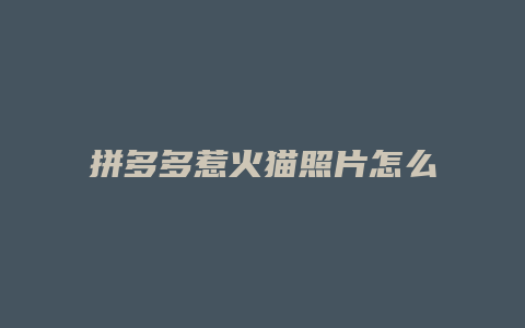 拼多多惹火猫照片怎么保存