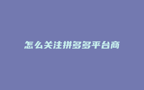 怎么关注拼多多平台商家