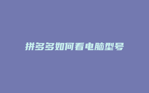 拼多多如何看电脑型号大小
