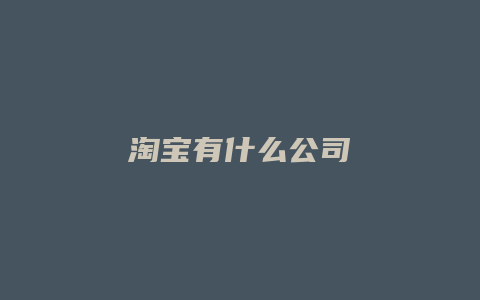 淘宝有什么公司