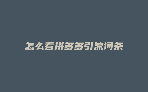 怎么看拼多多引流词条