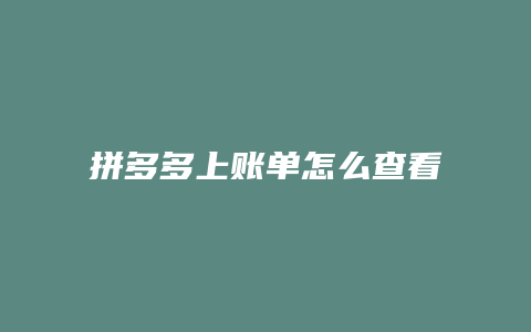 拼多多上账单怎么查看