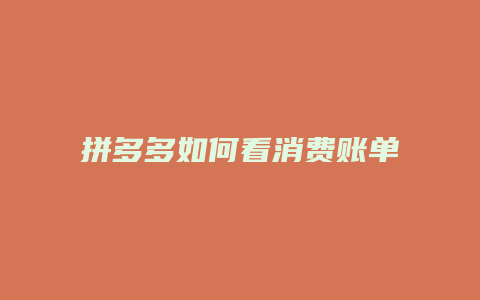 拼多多如何看消费账单明细