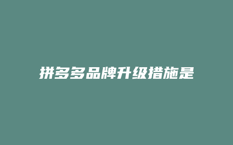 拼多多品牌升级措施是什么