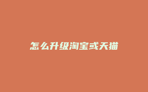 怎么升级淘宝或天猫