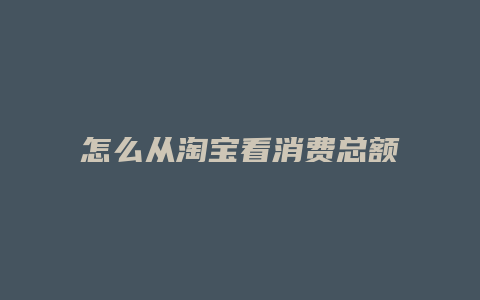 怎么从淘宝看消费总额