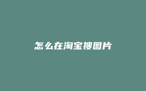 怎么在淘宝搜图片
