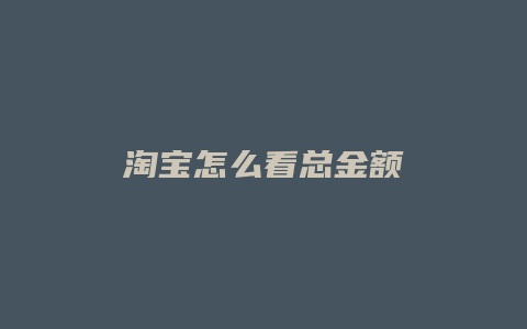 淘宝怎么看总金额