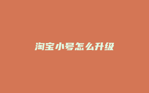 淘宝小号怎么升级