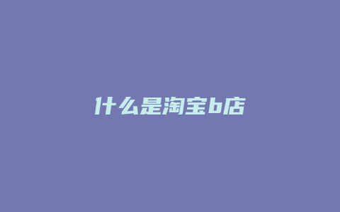 什么是淘宝b店