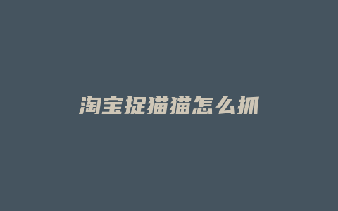 淘宝捉猫猫怎么抓