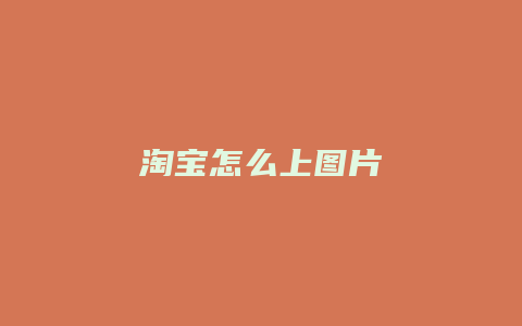 淘宝怎么上图片