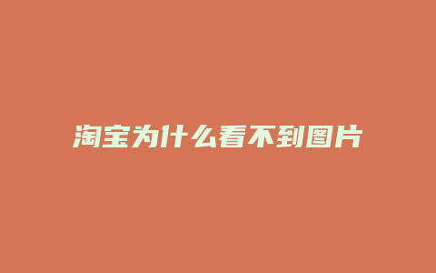 淘宝为什么看不到图片