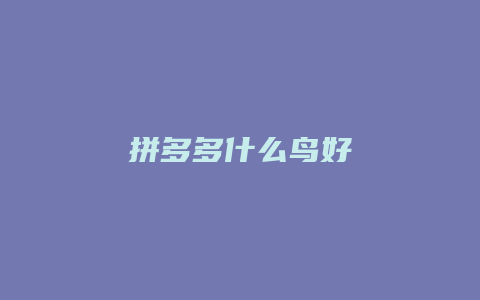 拼多多什么鸟好