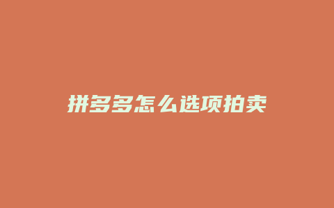 拼多多怎么选项拍卖